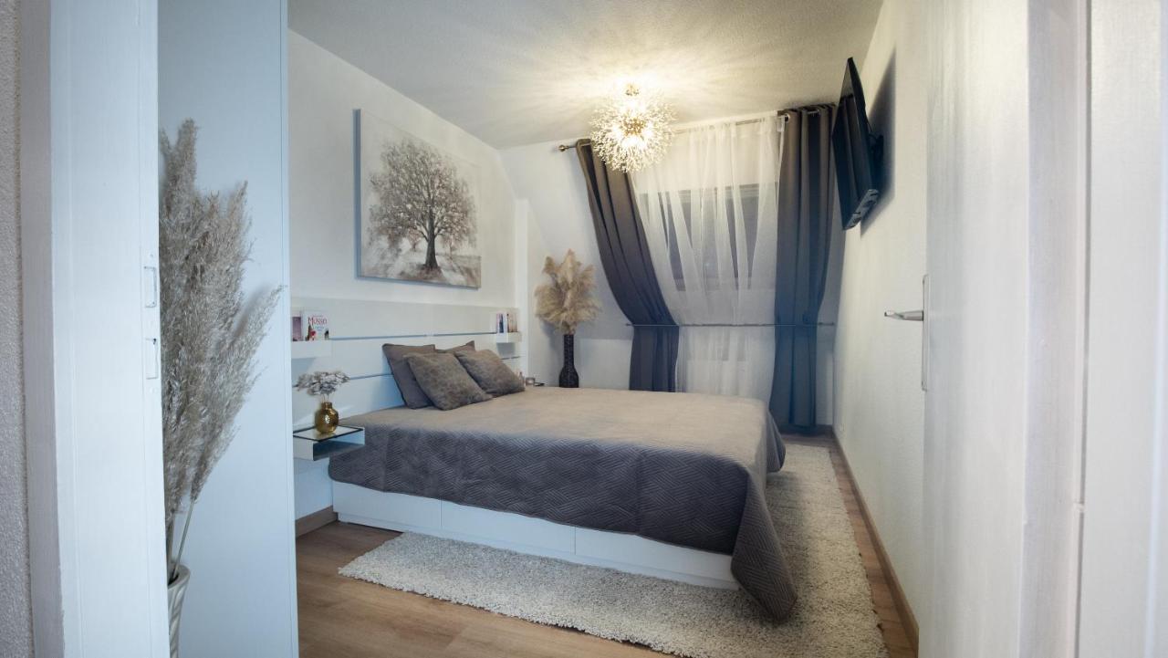 Superbe Appartement Au Coeur Du Colmar Eksteriør bilde